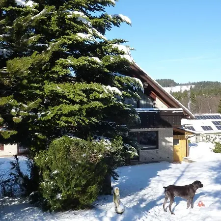 Wiesenblick Mit Terrasse Im Fischer Appartement