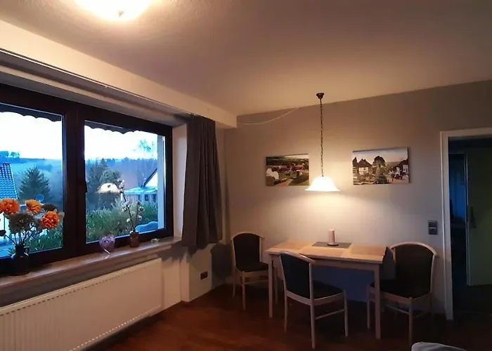 Wiesenblick Mit Terrasse Im Fischer * Sankt Andreasberg